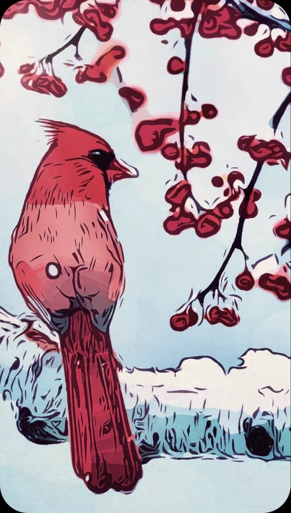 The Cardinal: The bird sits on a snowy branch next to a cluster of red berries.