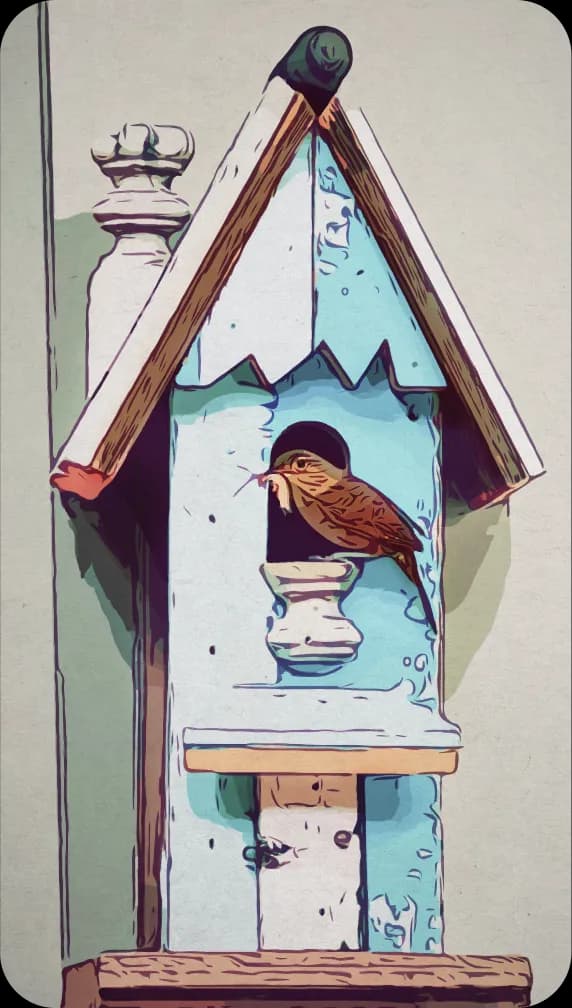 A Carolina Wren sitting on a birdhouse.