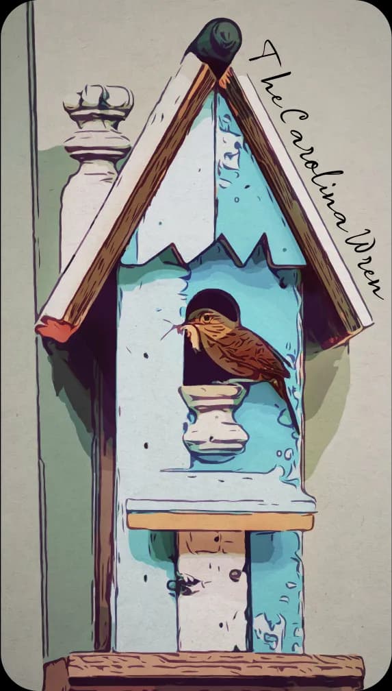 A Carolina Wren sitting on a birdhouse.