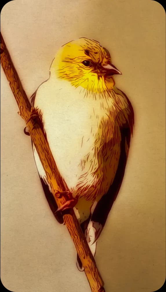 A goldfinch sitting on a branch, quite pleased with himself.