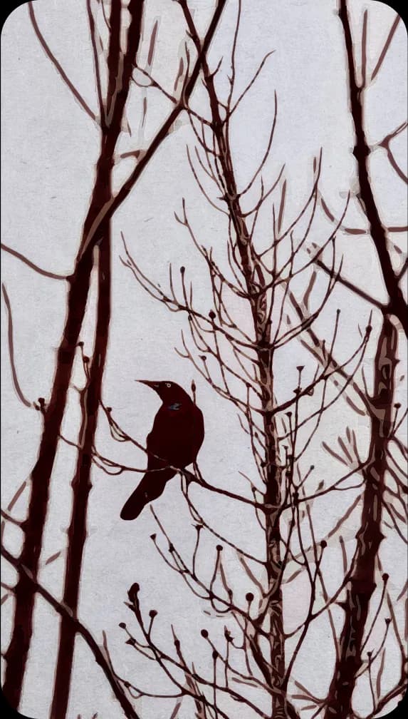 A grackle, stopping for but a moment in a wintered forest.