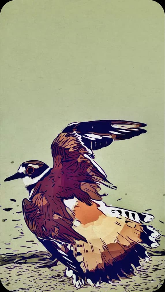 The Killdeer: Fakes a broken wing to lure something off the nest.