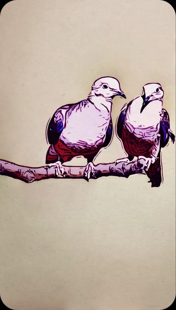 Two mourning doves on a branch; one pesters the other.