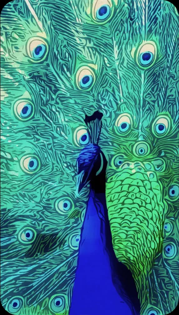 Painting of a peacock, tail filling the whole screen.